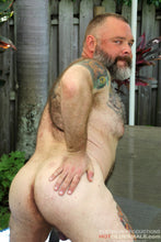 Load image into Gallery viewer, Daddy Bears In Heat
